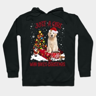 Golden Retriever Just A Girl Who Loves Christmas Hoodie